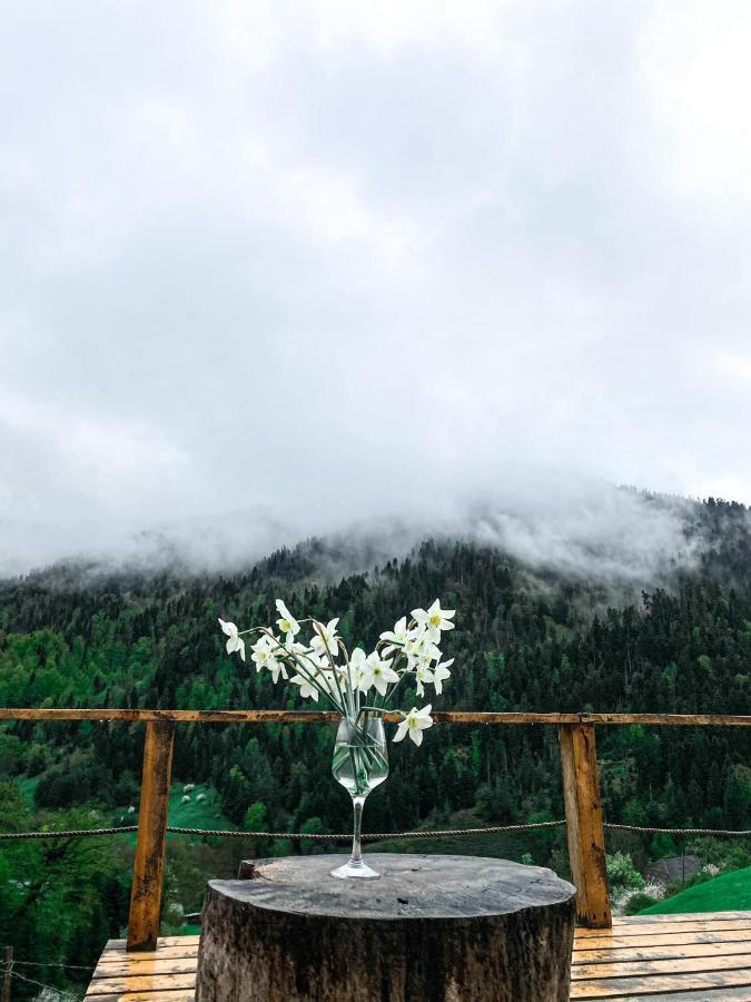 Mitarbi Silence - Cozy Holiday Cottages In Mountains Borjomi Exterior photo