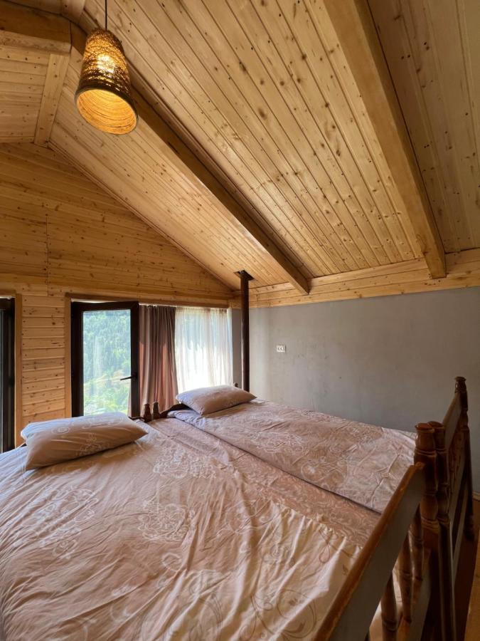 Mitarbi Silence - Cozy Holiday Cottages In Mountains Borjomi Exterior photo