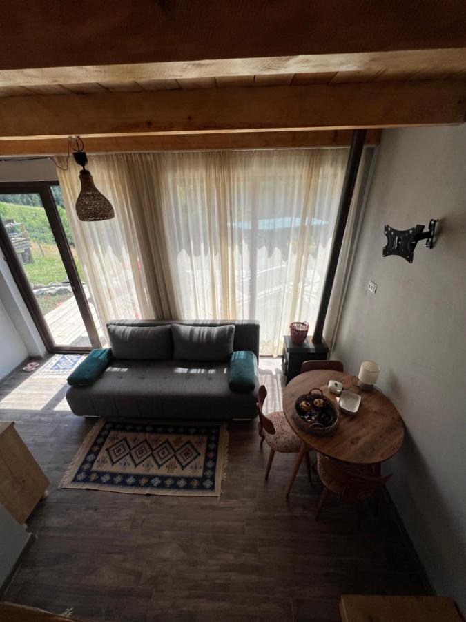 Mitarbi Silence - Cozy Holiday Cottages In Mountains Borjomi Exterior photo