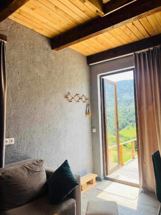 Mitarbi Silence - Cozy Holiday Cottages In Mountains Borjomi Exterior photo