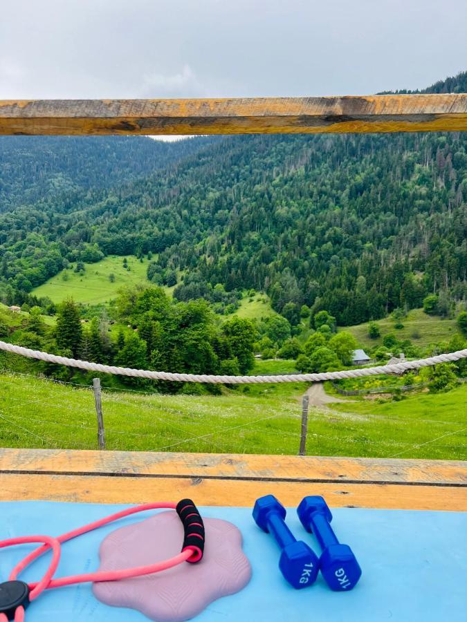 Mitarbi Silence - Cozy Holiday Cottages In Mountains Borjomi Exterior photo