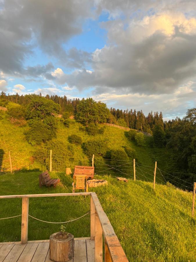 Mitarbi Silence - Cozy Holiday Cottages In Mountains Borjomi Exterior photo
